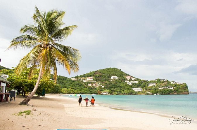 Grenada Express Tour - Annandale, Fort Fredrick, Rum Distillery & Beach Tour - Who should book this tour, and who might skip it