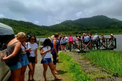 Grenada Spice with Rum and Cocoa Heritage Tour - Stop 1: Concord Falls on the west coast (30 minutes)