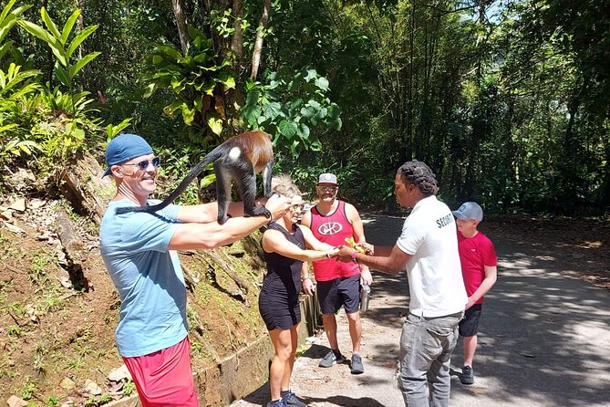 Grenada Spice with Rum and Cocoa Heritage Tour - Stop 5: Grand Etang Lake, the crater-lake payoff (30 minutes)