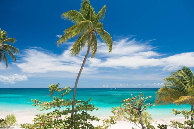 Grenada West Coast: Waterfalls, Chocolate & Rum Half-Day Tour - Pickup and Your Group Setup in St. George’s