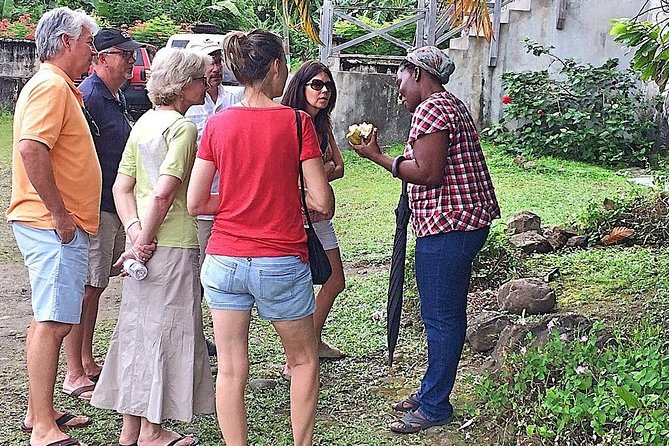 Grenada West Coast: Waterfalls, Chocolate & Rum Half-Day Tour - Grand Etang National Park and Mona Monkeys: Wildlife Without the Heavy Trek