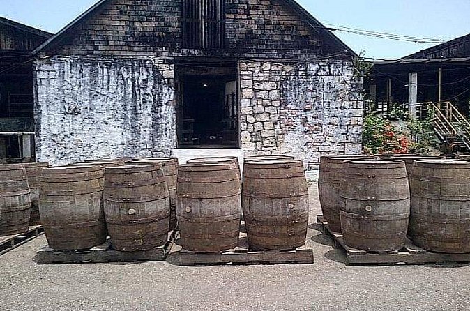 Hampden Estate Rum Tour and Lunch from Falmouth - Who This Tour Suits Best