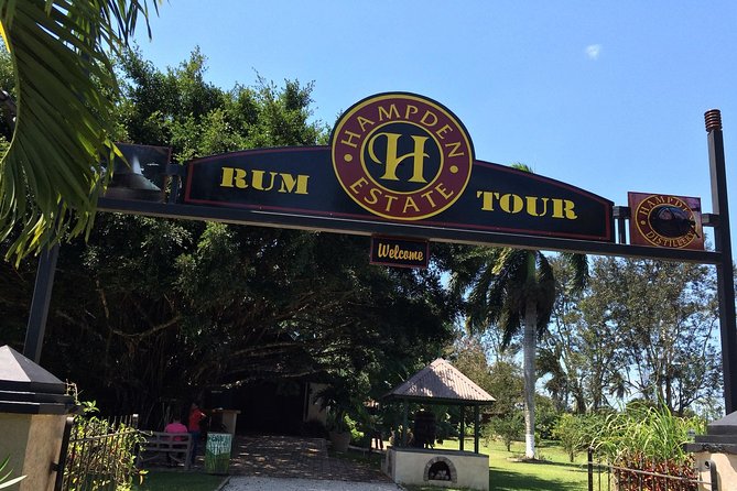 Hampden Estate Rum Tour and Lunch from Montego Bay - Key highlights worth planning for
