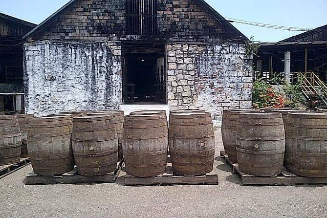 Hampden Estate Rum Tour and Lunch from Montego Bay - At the estate: walking through sugar cane to the ageing house