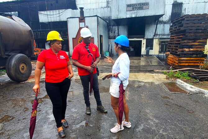 Hampden Estate Rum Tour and Lunch from Montego Bay - Price and value: is $195 per person fair for what you get?