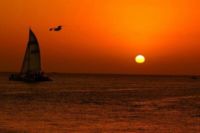 Key West Rum and Reggae: Reef Snorkel Adventure and Sunset Sail - The 30–40 minute reef session: gear, instruction, and the stairway moment