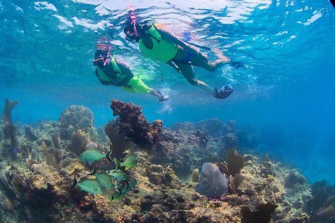 Key West Rum and Reggae: Reef Snorkel Adventure and Sunset Sail - What to pack and what to skip (so you don’t feel silly later)