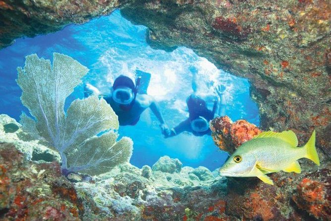 Key West Rum and Reggae: Reef Snorkel Adventure and Sunset Sail - Who should book this Rum n’ Reggae snorkel-sunset?