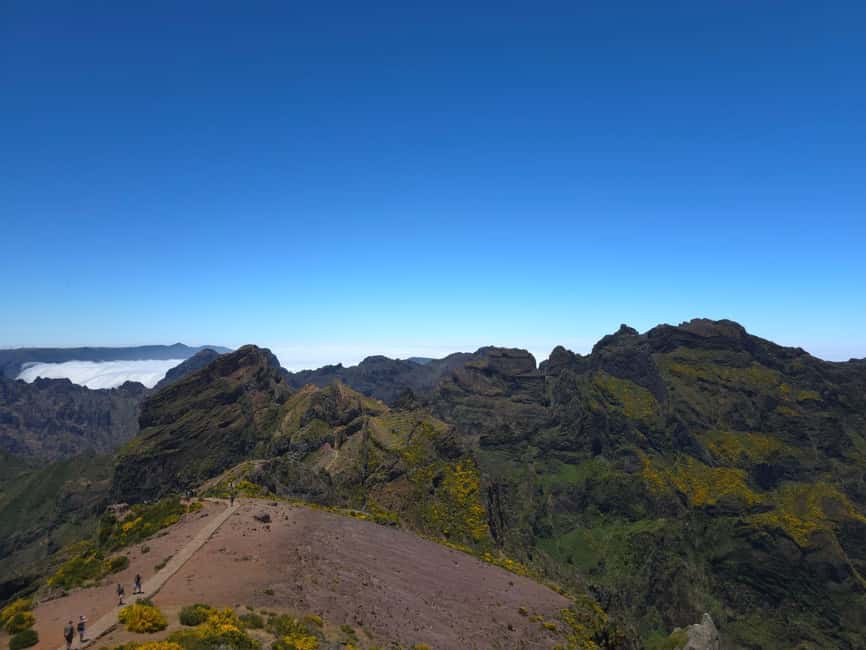 Madeira: East Island Tour with Rum Tasting - A tight, friendly East Island loop built for views