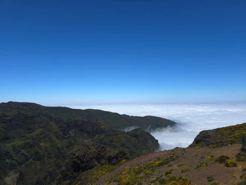 Madeira: East Island Tour with Rum Tasting - Ribeiro Frio: the nature pause in between coast views