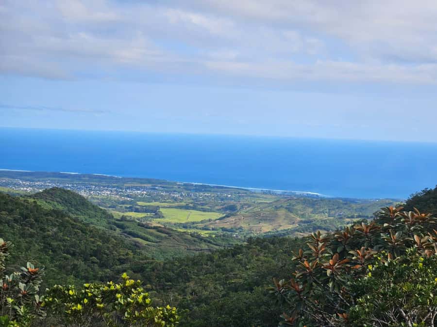 Mauritius: Sights of the South Private Tour with Rum Tasting - Black River Gorges viewpoints: Alexandra Falls without the heavy hiking