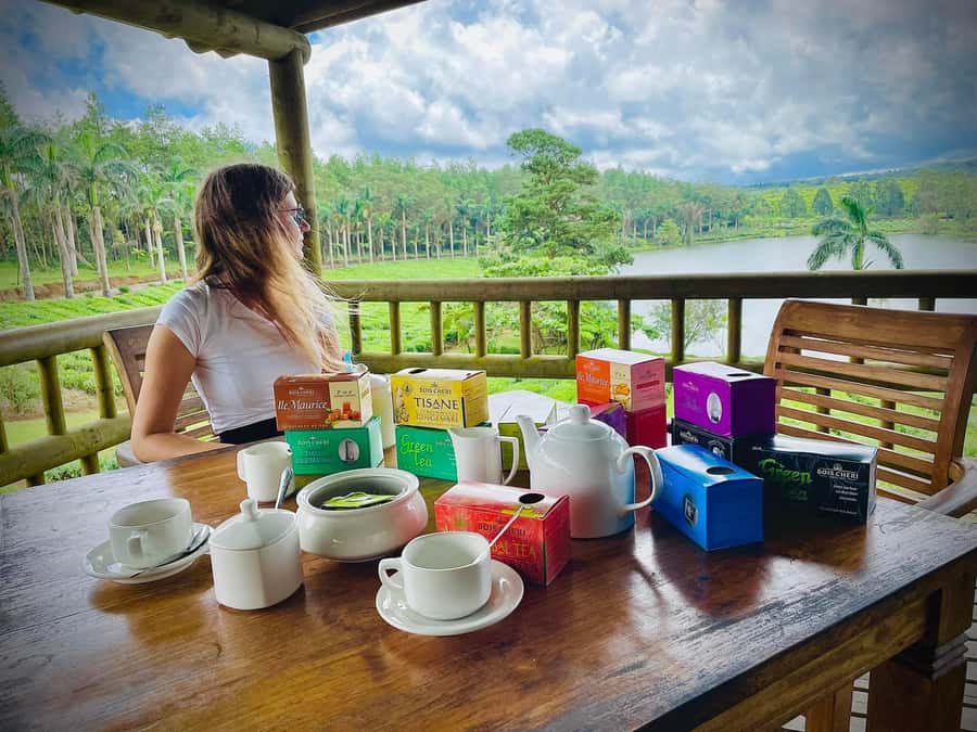 Mauritius: Tea, Rum and Vanilla Route with Lunch and Pickup - Tea, Rum and Vanilla Route in Mauritius: what this 7-hour day is really about