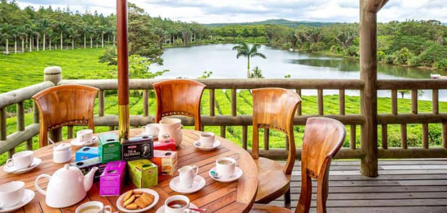 Mauritius: Tea, Rum and Vanilla Route with Lunch and Pickup - Le Domaine de Saint Aubin: vanilla house, spices, gardens, and a working-style mill