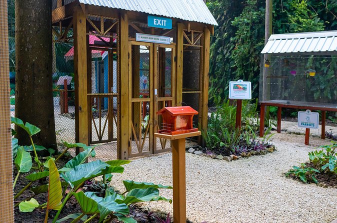Nature Trail, Tram & Rum Tasting at Harrison's Cave by Chukka - Poolside Lunch: A Real Break in the Middle