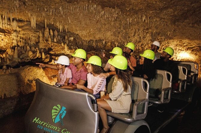 Nature Trail, Tram & Rum Tasting at Harrison's Cave by Chukka - Rum Tasting at Mount Gay: Learn the Story, Sip the Blends