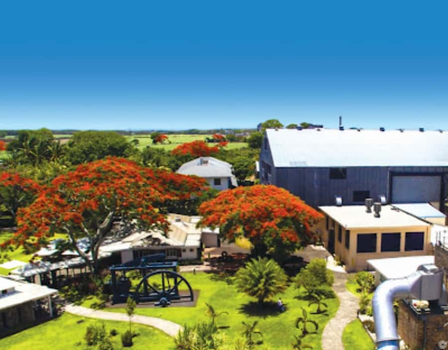 North Day Tour, Botanical Garden, Sugar Museum, Rum Tasting - Key things to know before you go