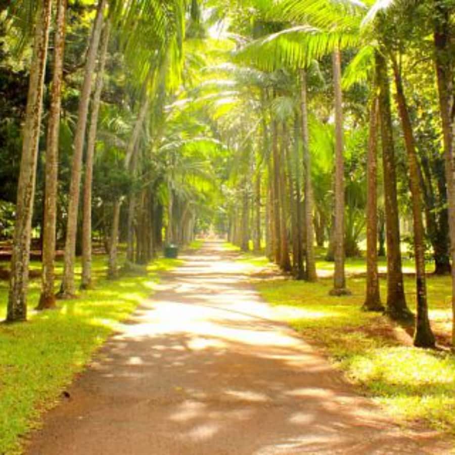 North Day Tour, Botanical Garden, Sugar Museum, Rum Tasting - Cap Malheureux and the Red Church beachfront photo stop
