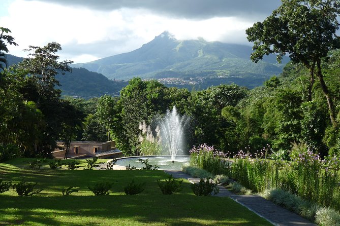North Tour: rainforest, rum distillery, black sand beach etc - Stop 2: Fonds Saint Denis tropical forest roads and little water stories