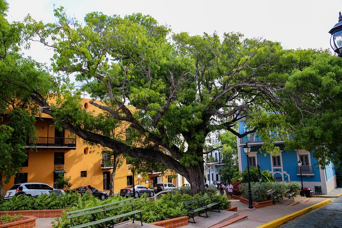 Old San Juan and Rum Factory Full-Day Tour: Minimum 8+ people - Weather, tour size rules, and booking ahead in San Juan