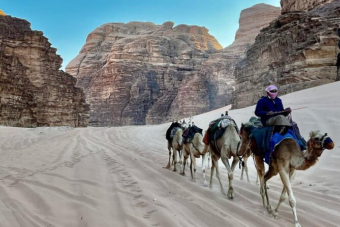 One Day Petra & Wadi Rum from Aqaba - Lunch and breaks: keeping the day survivable
