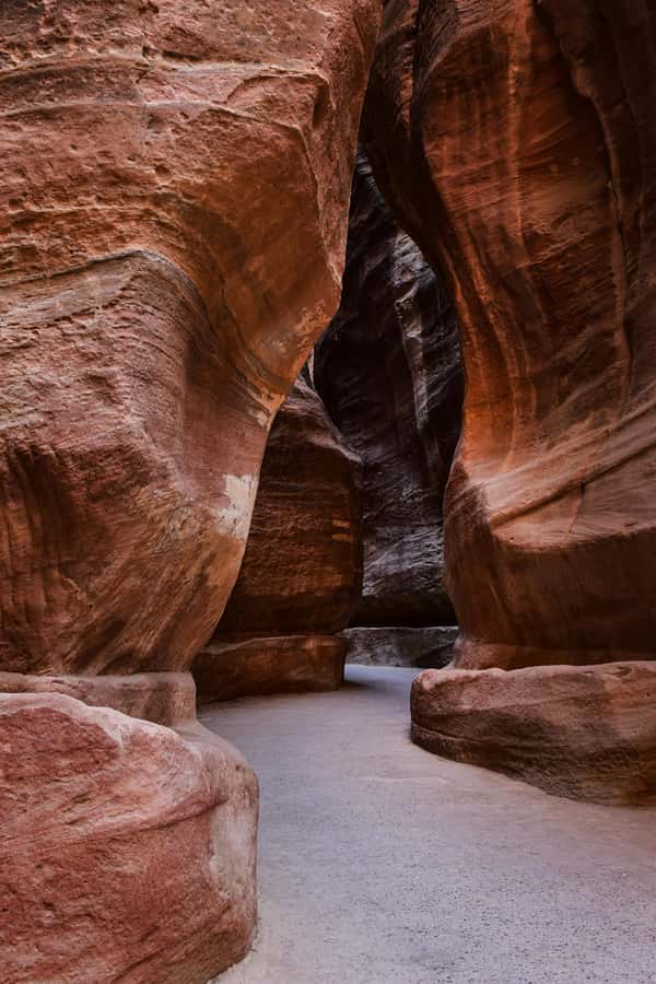 One Day Tour from Aqaba - Petra and Wadi Rum - Aqaba - Lunch in Petra: Where You Refuel Without Losing Momentum