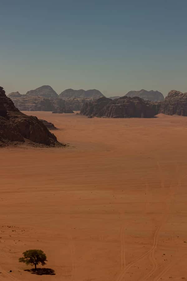 One Day Tour from Aqaba - Petra and Wadi Rum - Aqaba - Dinner in the Desert Camp: Zarb-Style Underground Cooking