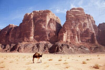 One Day Tour Wadi Rum - Getting to Wadi Rum Excursions: the simple start in Wadi Rum Village