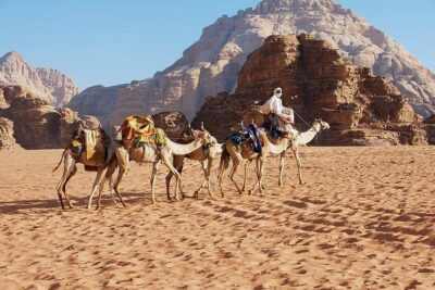 Petra and Wadi Rum Day Trip from Amman - Petra Through the Siq: What You’ll Actually See in About 3 Hours