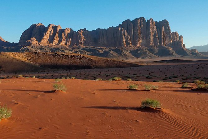 Petra and Wadi Rum Day Trip from Amman - Lunch in Petra and the Transfer Down to Wadi Rum
