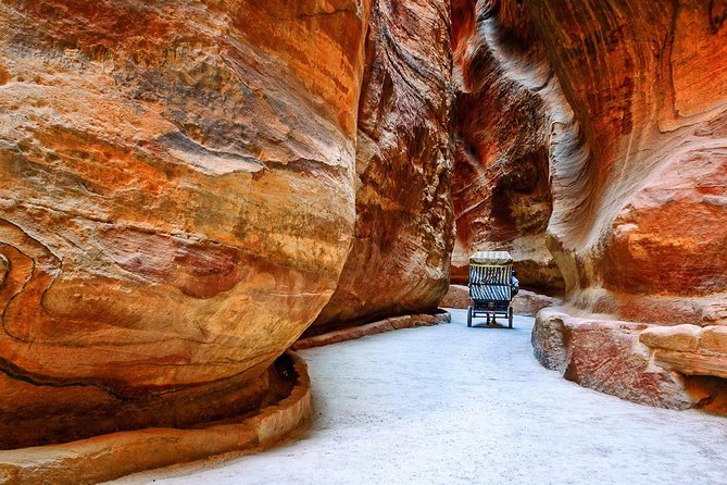 Petra and Wadi Rum Day Trip from Amman - Drinks, Food, and Comfort on a 10–14 Hour Schedule