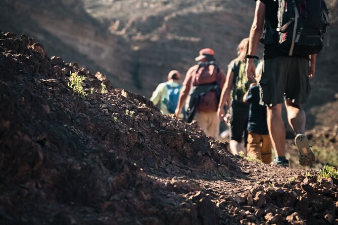 Petra to Wadi Rum Trek - 6 Days - Day 6: Wadi Rum Protected Area morning, then your tour ends
