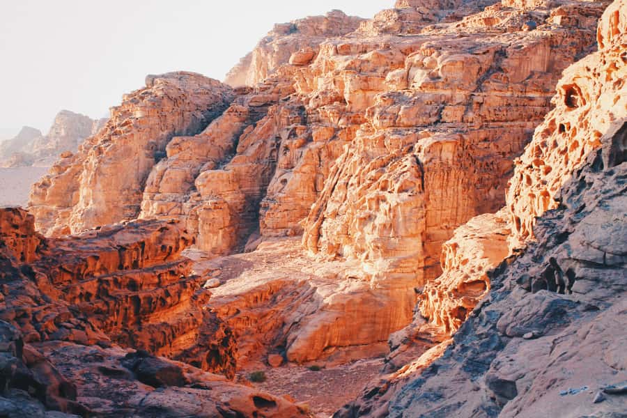Petra & Wadi Rum: Full Day Private Tour with Hotel Pickup - Petra’s main sights: Treasury, Street of Facades, Royal Tombs