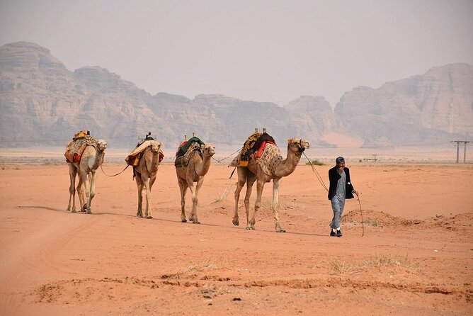 Petra & Wadi Rum Full-Day Tour from Amman or Airport - Petra and Wadi Rum in one day: the value of “two icons, one ride”