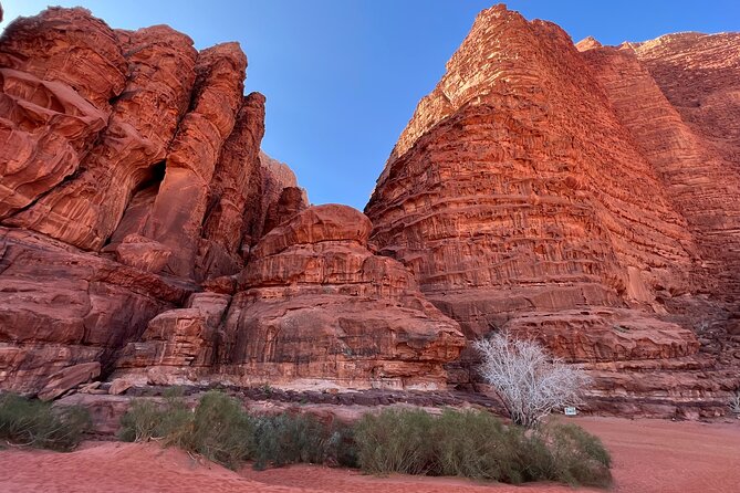 Private 1 Day Wadi Rum Desert Tour - Price and Value: Why This One-Day Tour Can Be Worth It