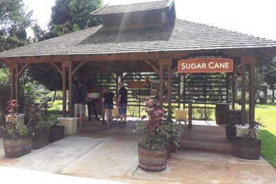 Private Appleton Estate Rum and Pelican Bar Tour from Montego Bay - Joy Spence Appleton Estate: rum-making in plain language, with tastings
