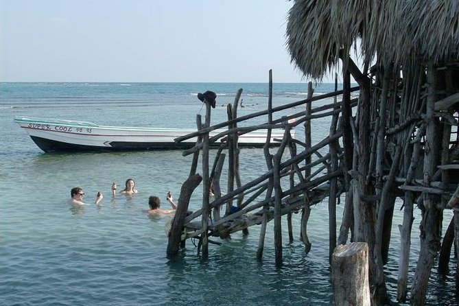 Private Appleton Estate Rum and Pelican Bar Tour from Montego Bay - Should you book it? My decision guide