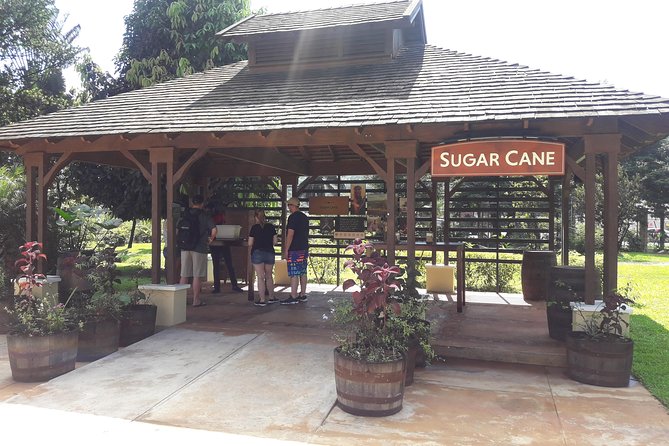 Private Appleton Estate Rum and Pelican Bar Tour from Montego Bay - Joy Spence Appleton Estate: rum-making in plain language, with tastings