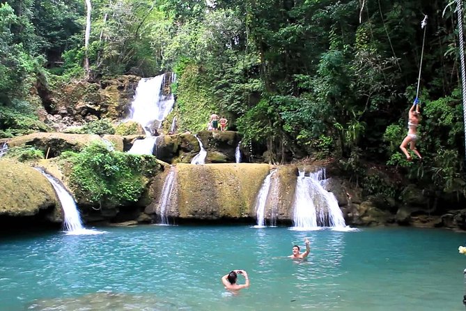 Private Appleton Estate Rum & YS Falls Tour from Montego Bay - Tasting Room Reality: Sampling 3 Rums and What to Do With Your Favorites