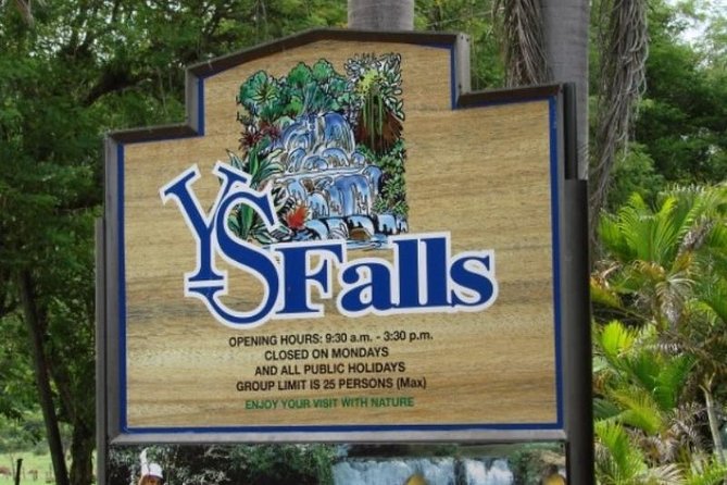Private Appleton Estate Rum & YS Falls Tour from Montego Bay - Best Fit: Who Will Enjoy This Day Most