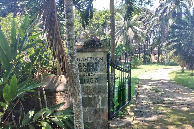 Private Hampden Estate Rum Tour from Montego Bay or Falmouth - Lunch at Outtaroad Crabby: A Real Break Built Into the Trip