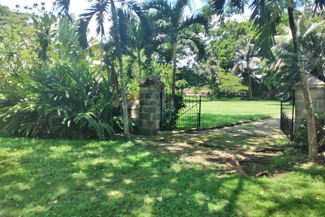 Private Hampden Estate Rum Tour from Montego Bay or Falmouth - Transportation, WiFi, and Water: The Comfort Stuff That Actually Helps