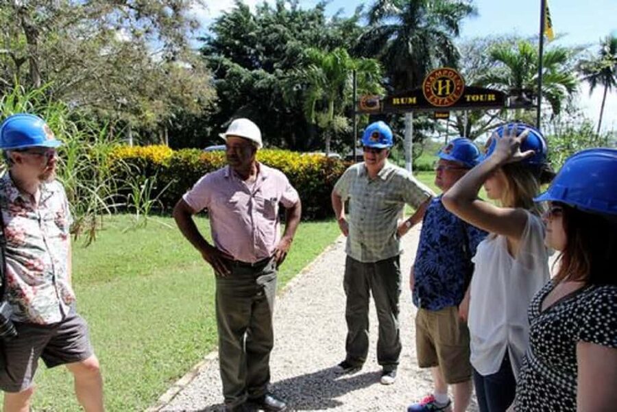 Private Hampden Estate Rum Trip from Montego Bay - Getting There: Paradise Palms Jamaica Transportation and Smooth Pickup