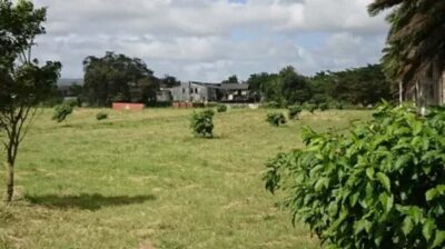 Private Hampden Estate Rum Trip from Montego Bay - Timing and Tour Windows: How the 10am–12pm Schedule Shapes Your Day