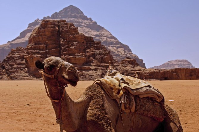 Private Tour of Wadi Rum Star Wars from Aqaba - Stop 4 (Optional): 30-Minute Camel Ride in the Desert