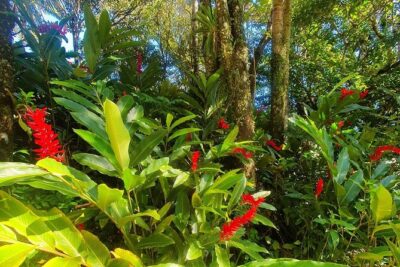 Puerto Plata City Tour with the Mount Isabel, Rum & Chocolate - Price and what you really get for $89