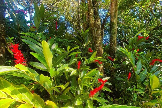 Puerto Plata City Tour with the Mount Isabel, Rum & Chocolate - Price and what you really get for $89