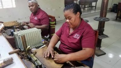 Punta Cana: Don Lucas Cigar, Chocolate, & Rum Tour - Hand-Rolling Cigars at Don Lucas Cigar Factory
