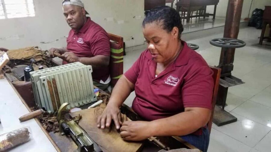 Punta Cana: Don Lucas Cigar, Chocolate, & Rum Tour - Hand-Rolling Cigars at Don Lucas Cigar Factory