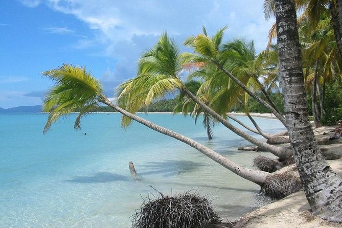 Rum and Salines paradise beach - Key things to know before you go