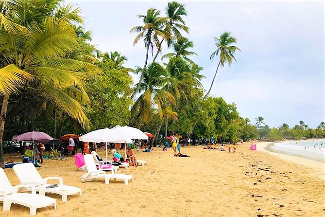 Rum and Salines paradise beach - Trois Rivières rum tasting near Sainte-Luce